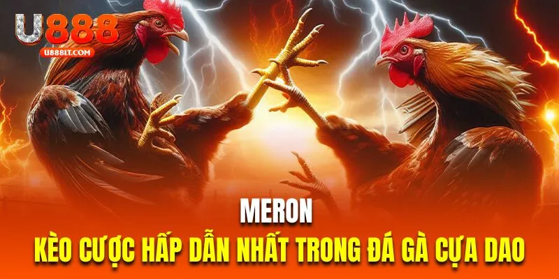 Meron là kèo cược hấp dẫn nhất trong đá gà cựa dao