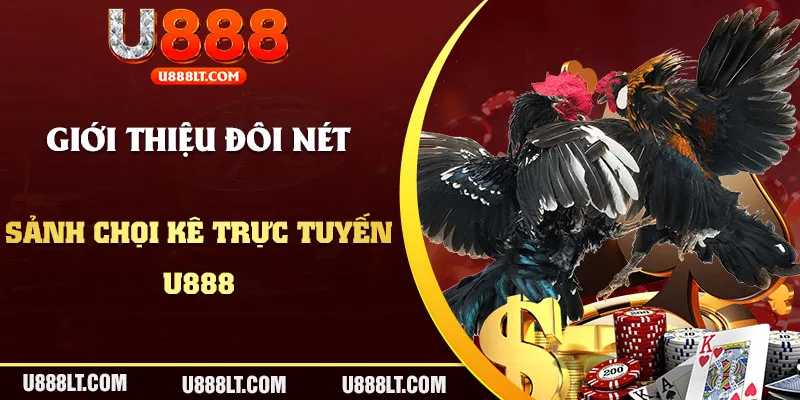 Giới thiệu sân chơi đá gà U888 trực tuyến đầy hấp dẫn