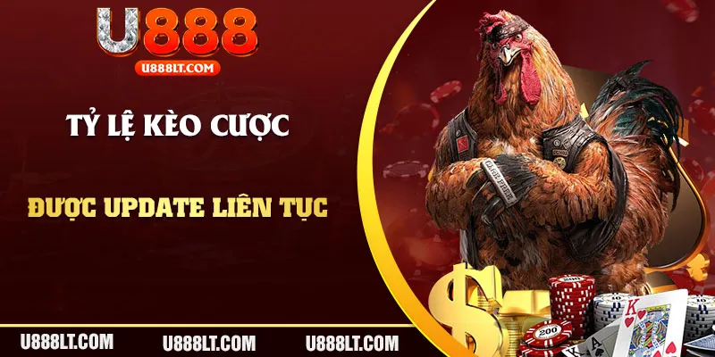 Tỷ lệ kèo chọi kê tại nhà cái được cập nhật liên tục nhằm mang đến sự mới mẻ